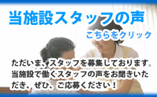 {݃X^bt̐
